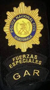 Fuerzas
